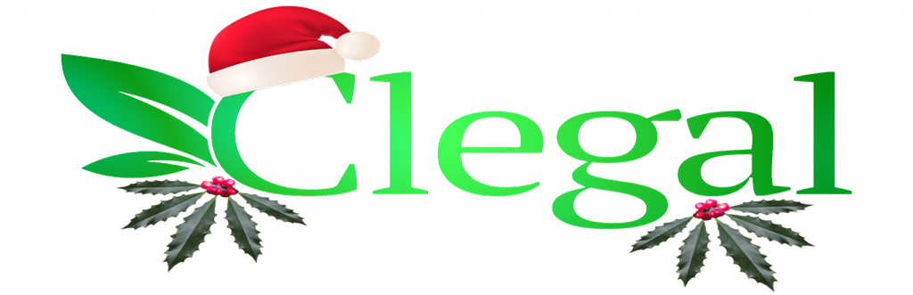 Logo de Noel