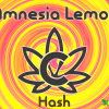 Hash Amnesia Lemon