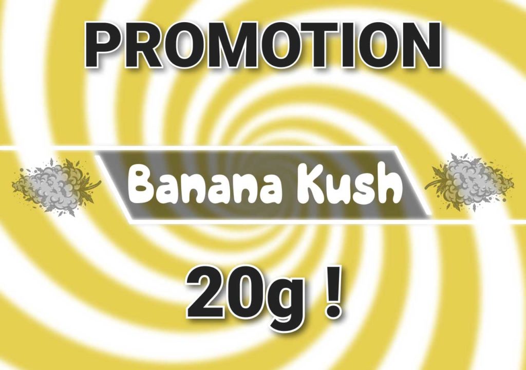 Banana Kush Promo